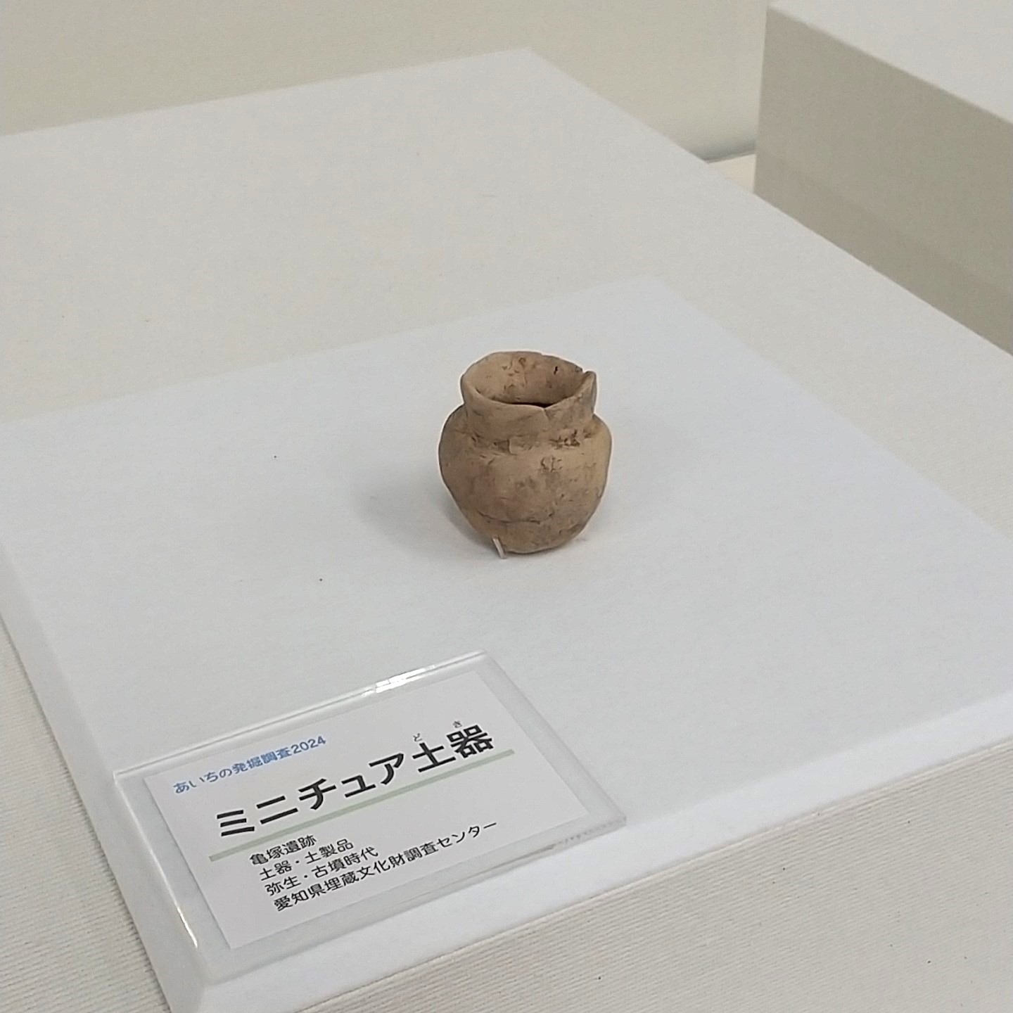 企画展「あいちの発掘調査2024」開催中~あいち朝日遺跡 企画展「あいちの発掘調査2024」開催中~あいち朝日遺跡