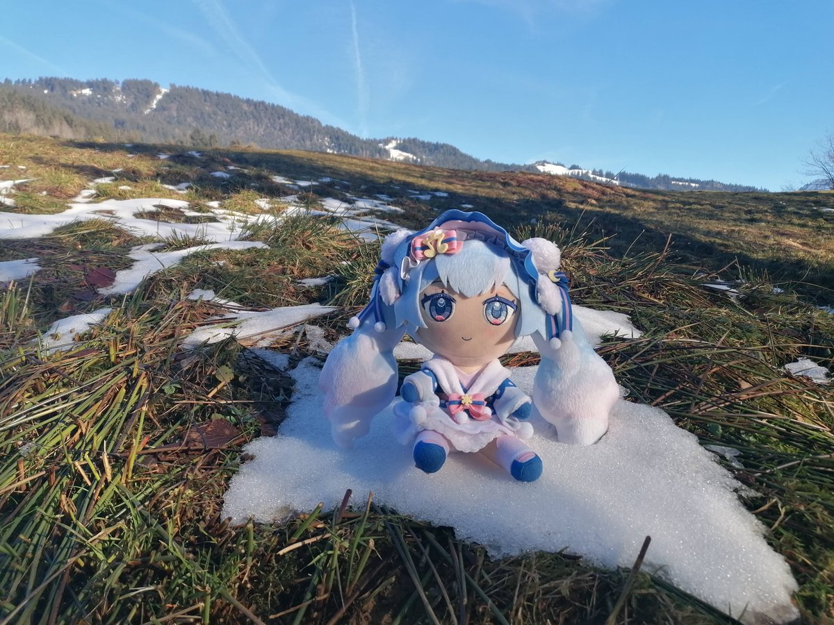 StefanPruner's tweet photo. ぬいたちと一緒にいい天気で散歩に行ってきました。
そろそろ冬が終わったね。

#ぬいぐるみの時間 https://t.co/syAenEwJMG