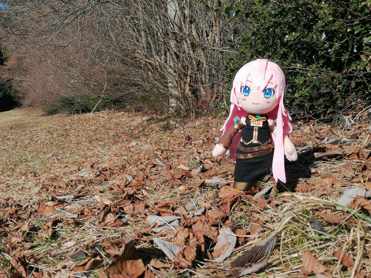 StefanPruner's tweet photo. ぬいたちと一緒にいい天気で散歩に行ってきました。
そろそろ冬が終わったね。

#ぬいぐるみの時間 https://t.co/syAenEwJMG