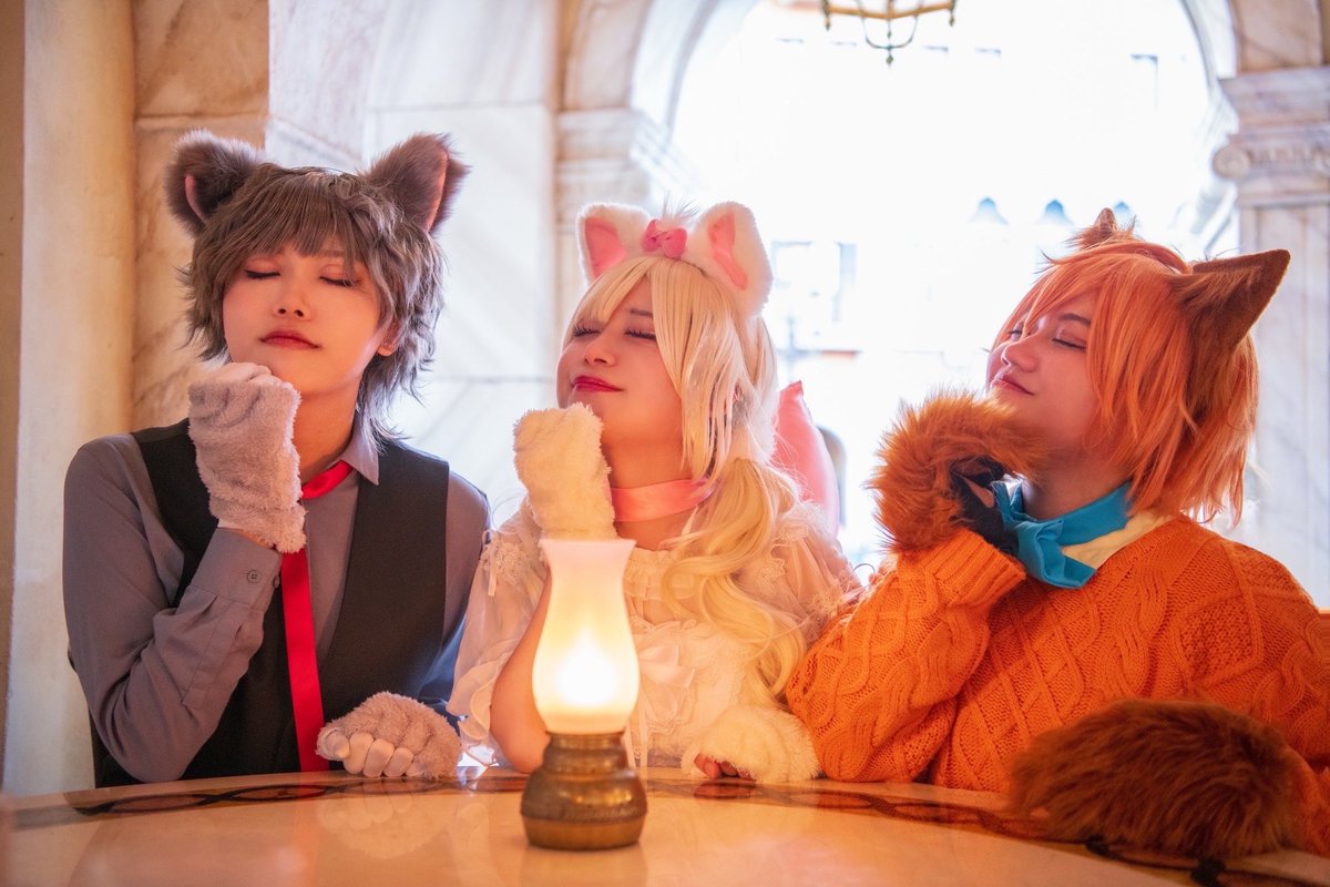 ┈┈┈┈┈┈┈┈┈┈┈┈

🐈🐈‍⬛🐈🐾🎀

┈┈┈┈┈┈┈┈┈┈┈┈
 #Dハロ仮装