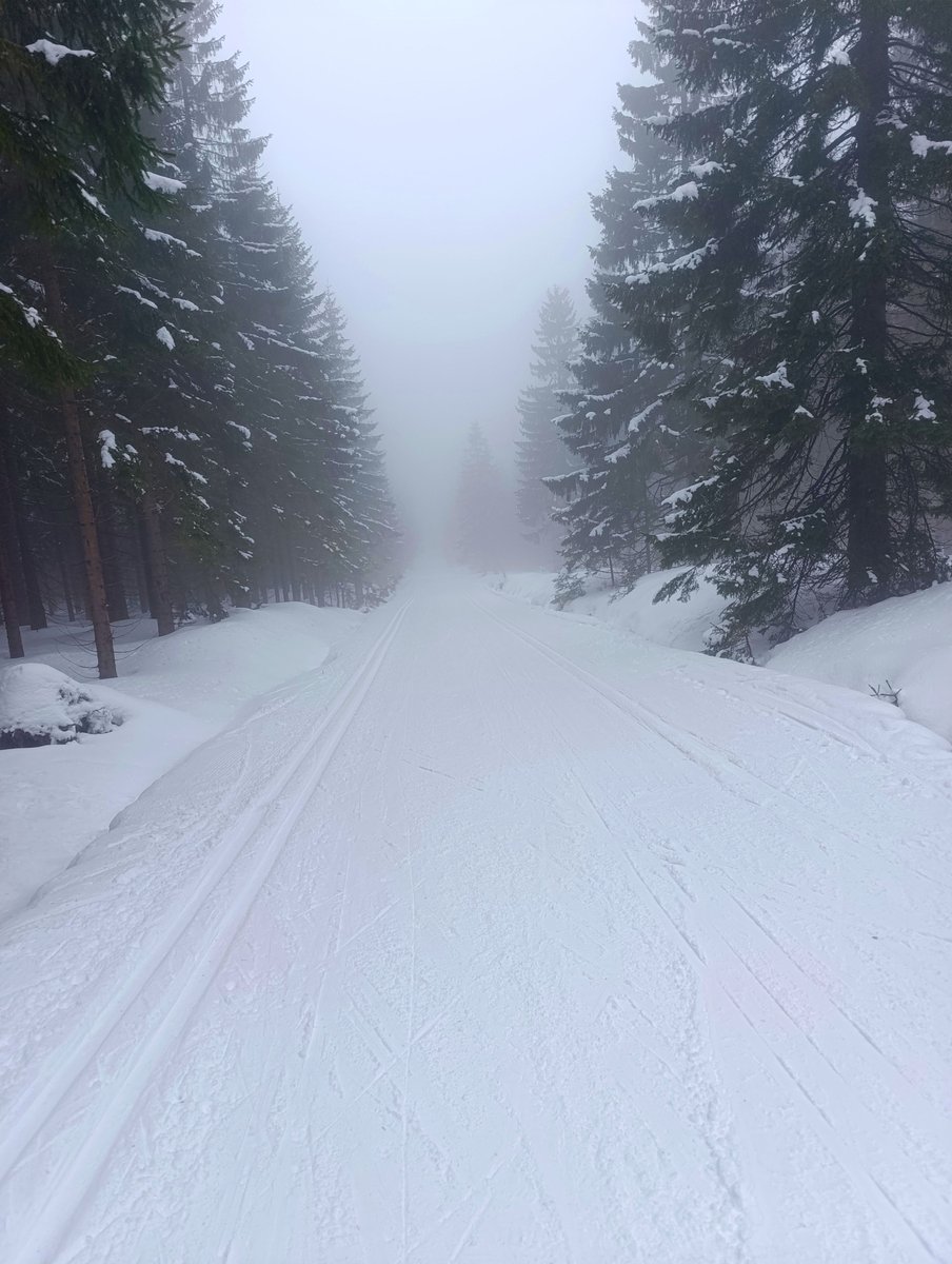 Bieg Piastów tweet media