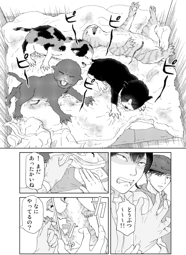 🗝️ひとり部屋のカギあずけます🔑
前後関係なく読める🐈‍⬛仔猫回🤡あります!
#猫の日 

分冊版20話(シーモア https://t.co/Vp14GKexa8)
レンタル版21話(チャンピオンクロス https://t.co/zdSh5SN8cJ) 