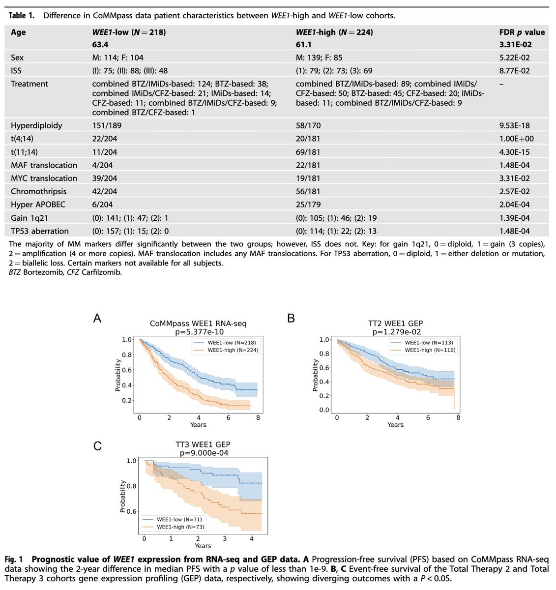 Robert Z. Orlowski tweet media