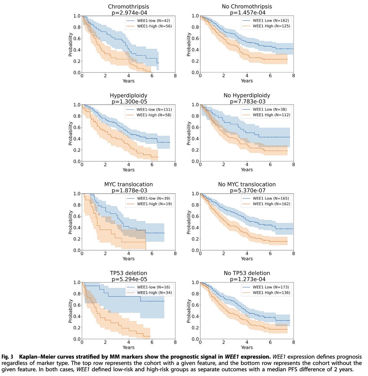 Robert Z. Orlowski tweet media