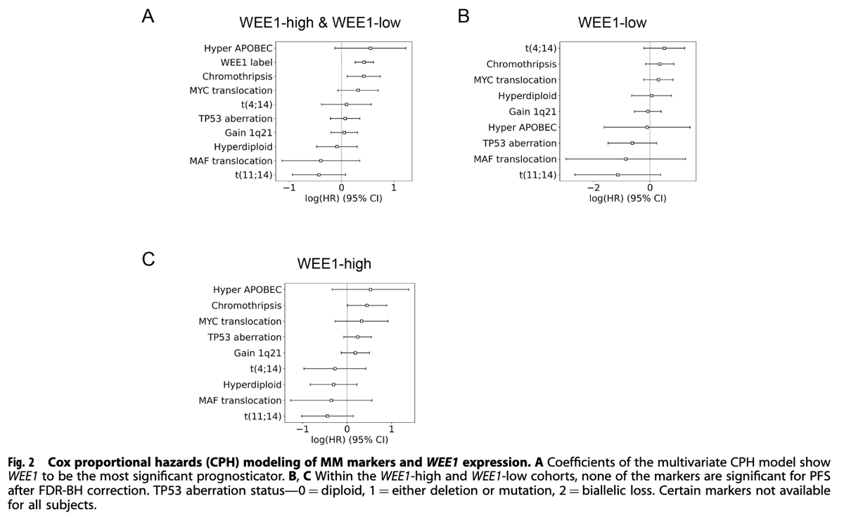 Robert Z. Orlowski tweet media