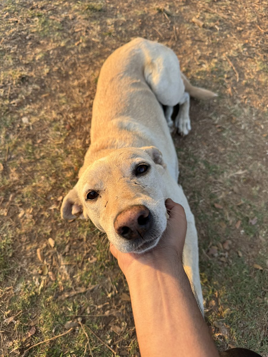 Saturday Morning 🏃‍♂️🐶