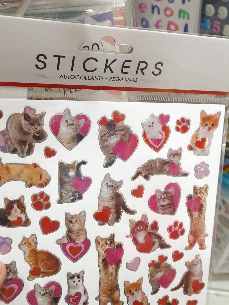 Why you should have a cat (@shouldhavecat) on Twitter photo 