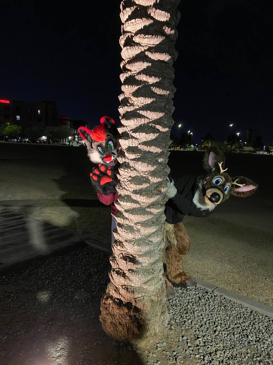 Is it too late for #FursuitFriday?  

📷:  <a href="/SaturnHusky/">Saturn Star Pupper</a> 

#furryfandom #furries #fursuits #fursuiters #llmcostumes