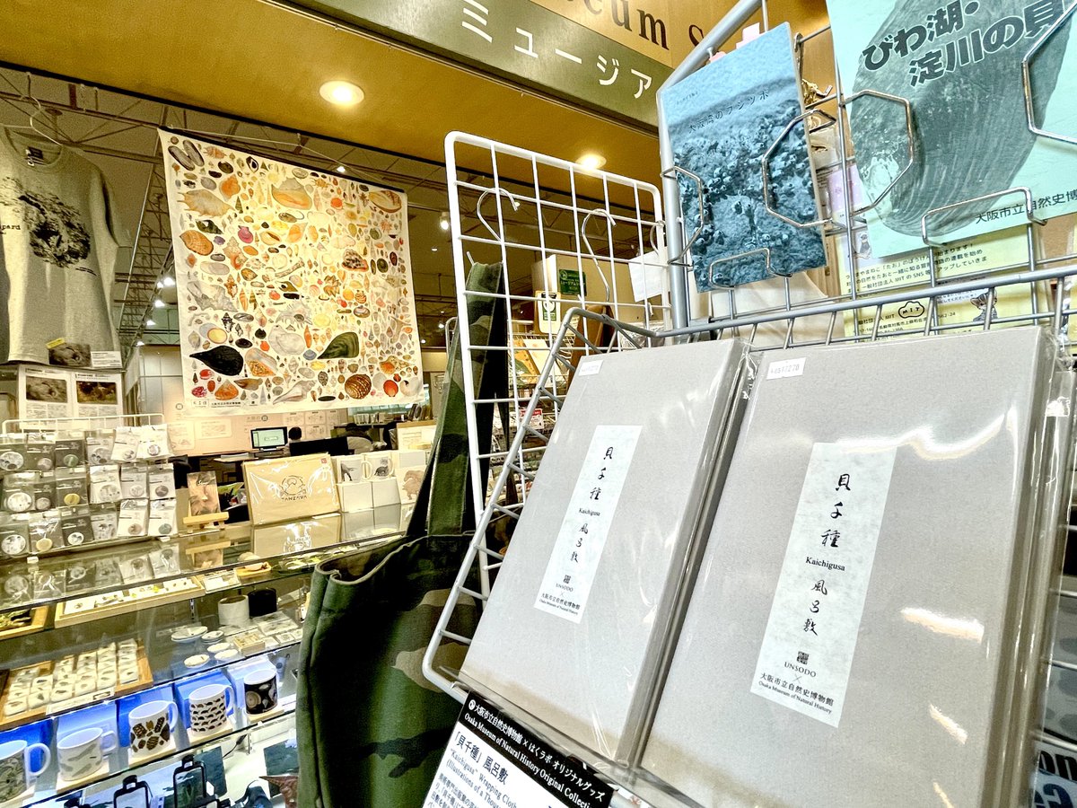 貝千種」風呂敷 - 大阪市立自然史博物館友の会ネットショップ