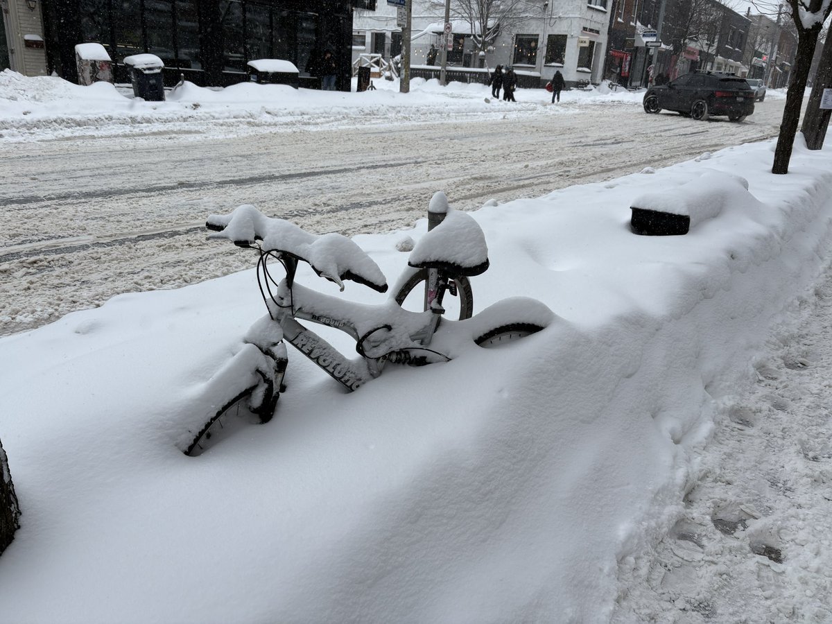 laurenonline's tweet image. Snowronto #dlws #onstorm