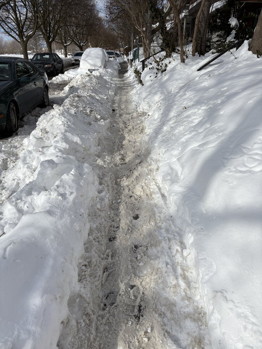 laurenonline's tweet image. Snowronto #dlws #onstorm