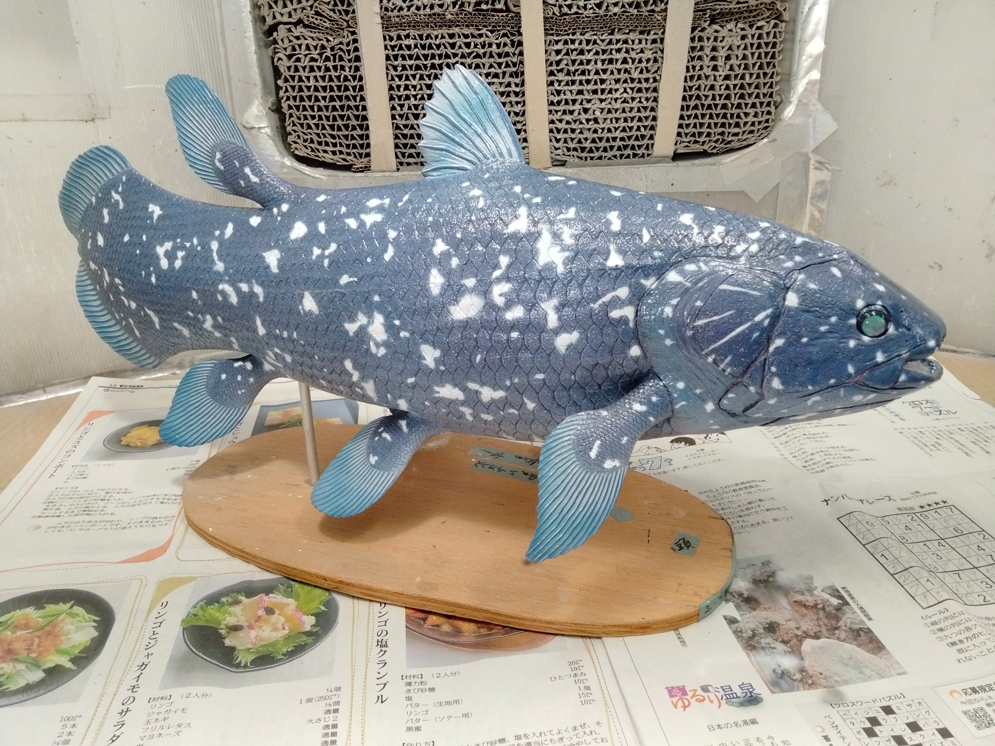 【美品】61cm シーラカンス（樹脂製）fish craft REAL製作 美品】61cm シーラカンス（樹脂製）fish craft REAL製作 Yahoo