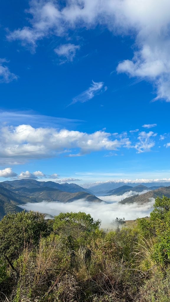 HermanAmayaT's tweet photo. Cuando las nubes acarician las montañas! https://t.co/ZPTSVUUMK1