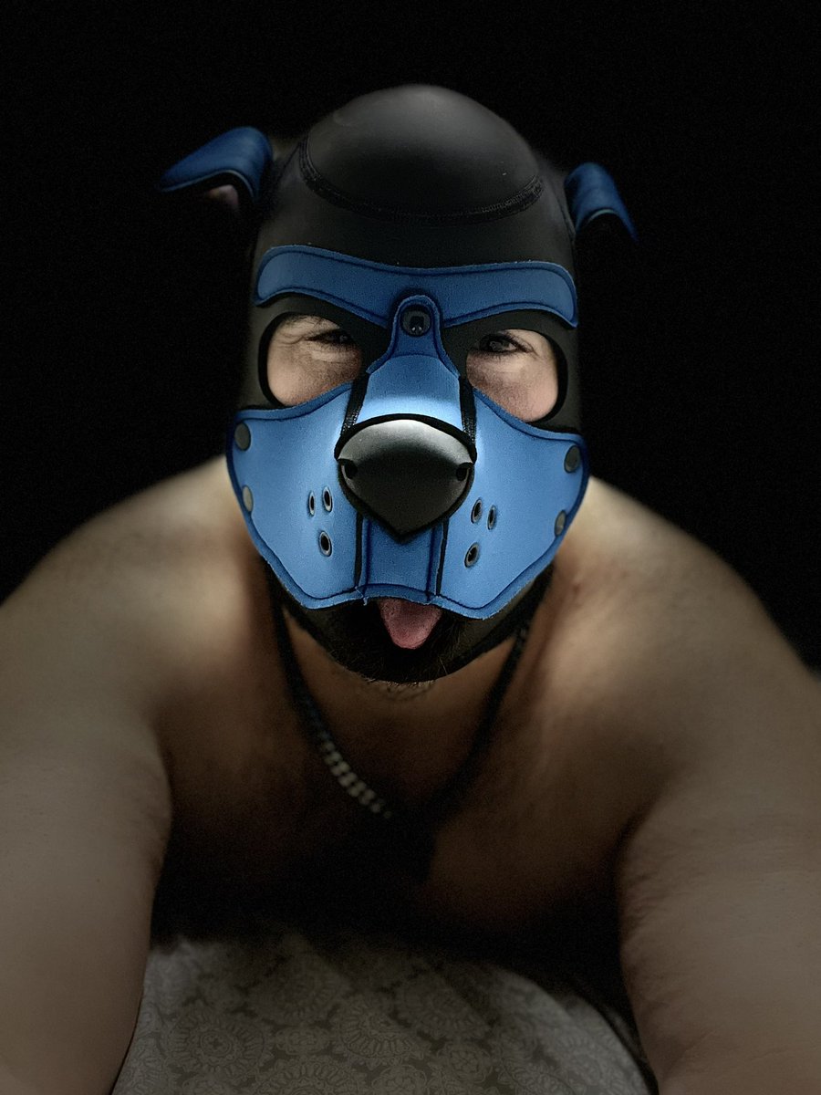 PupSonic89's tweet photo. Awruff! Felt cute. https://t.co/Hiqfr1wmSh