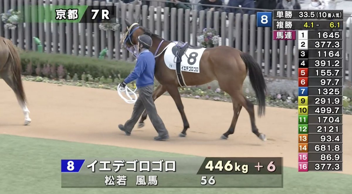o_m_a_e_p's tweet photo. 競馬場も良いけど、基本出不精だから競馬見るときはこうでありたい https://t.co/gkoZ9UyiLJ