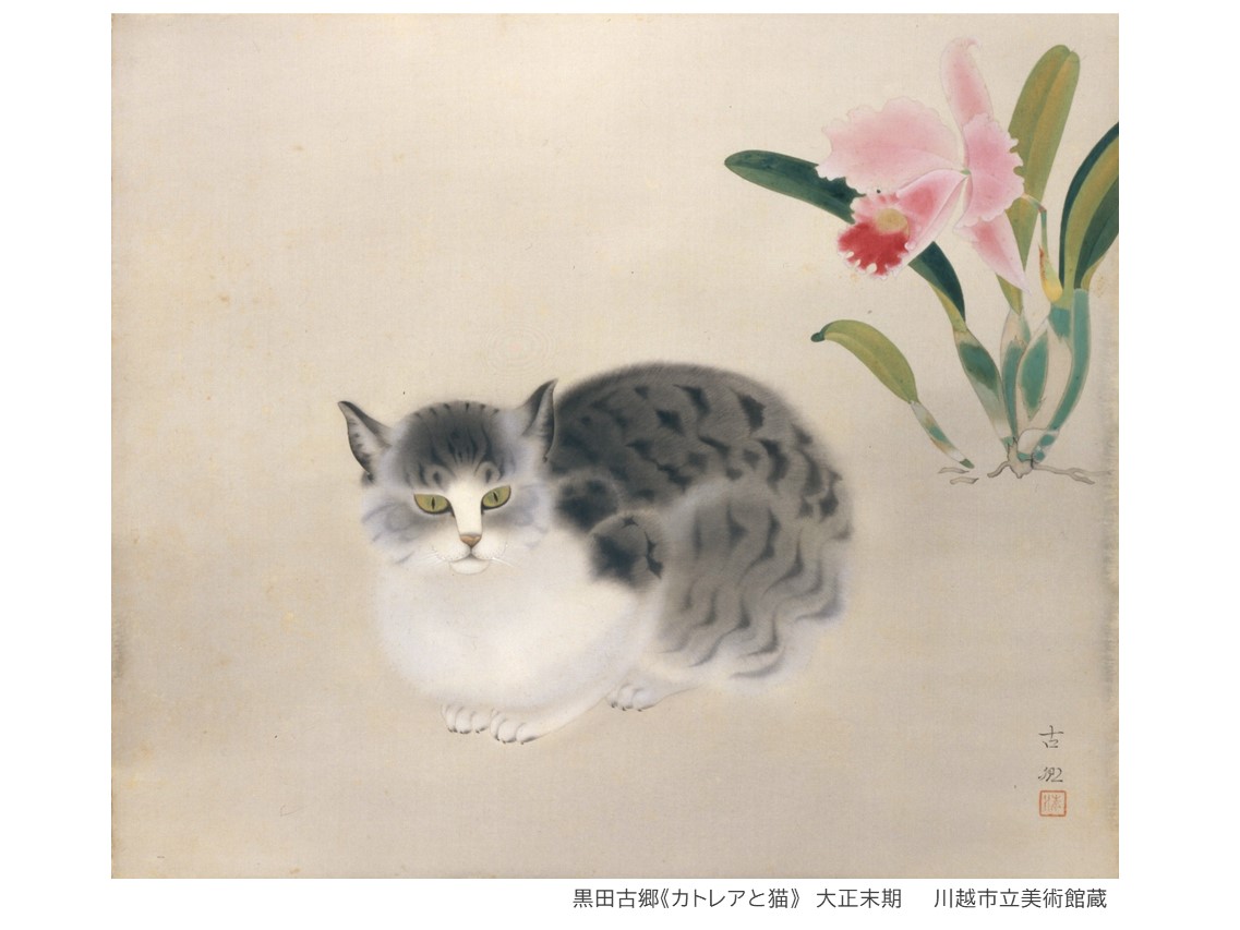 もしや今日はニャンニャンニャンの猫の日ですか？ 当館の可愛い猫（の