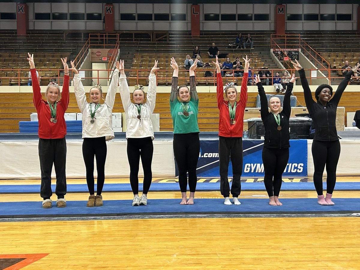 Vault, Bars, Beam, and Floor awards pictures.