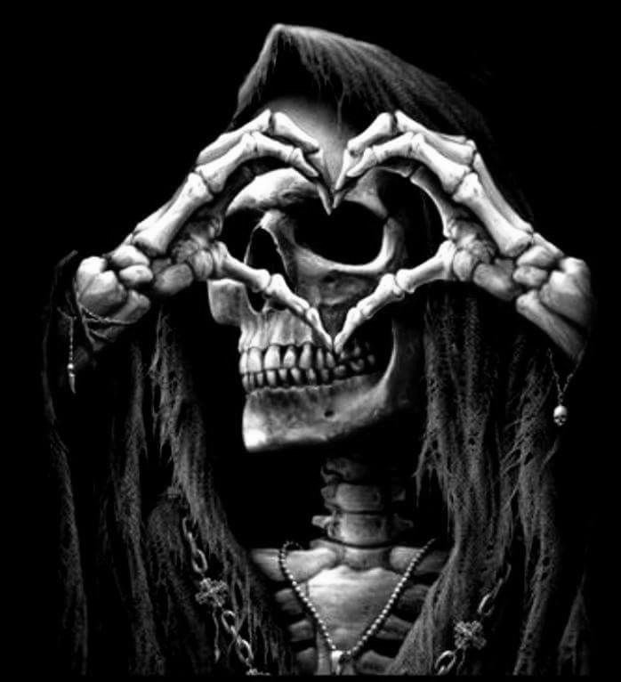 Mr. Diablo Hammer tweet media