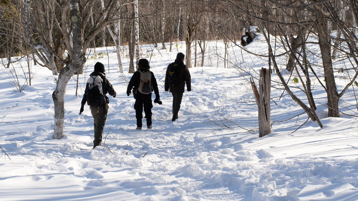 こんにちは、へえちゃんです
1月24〜25日に乗鞍に行きました
温泉の宿 Raichoさんに宿泊して、2つのスノーシューツアーに参加しました
初日はナイトツアーだったので、チェックイン後に散策
雪ていうだけでテンション上りますね

#乗鞍高原
#スノーシュー #raicho