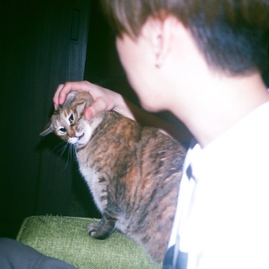 imaginary_oOo's tweet photo. @04GENLS 玄ちゃん！今日は猫の日です🐈♪ https://t.co/0bMwUrUIFu