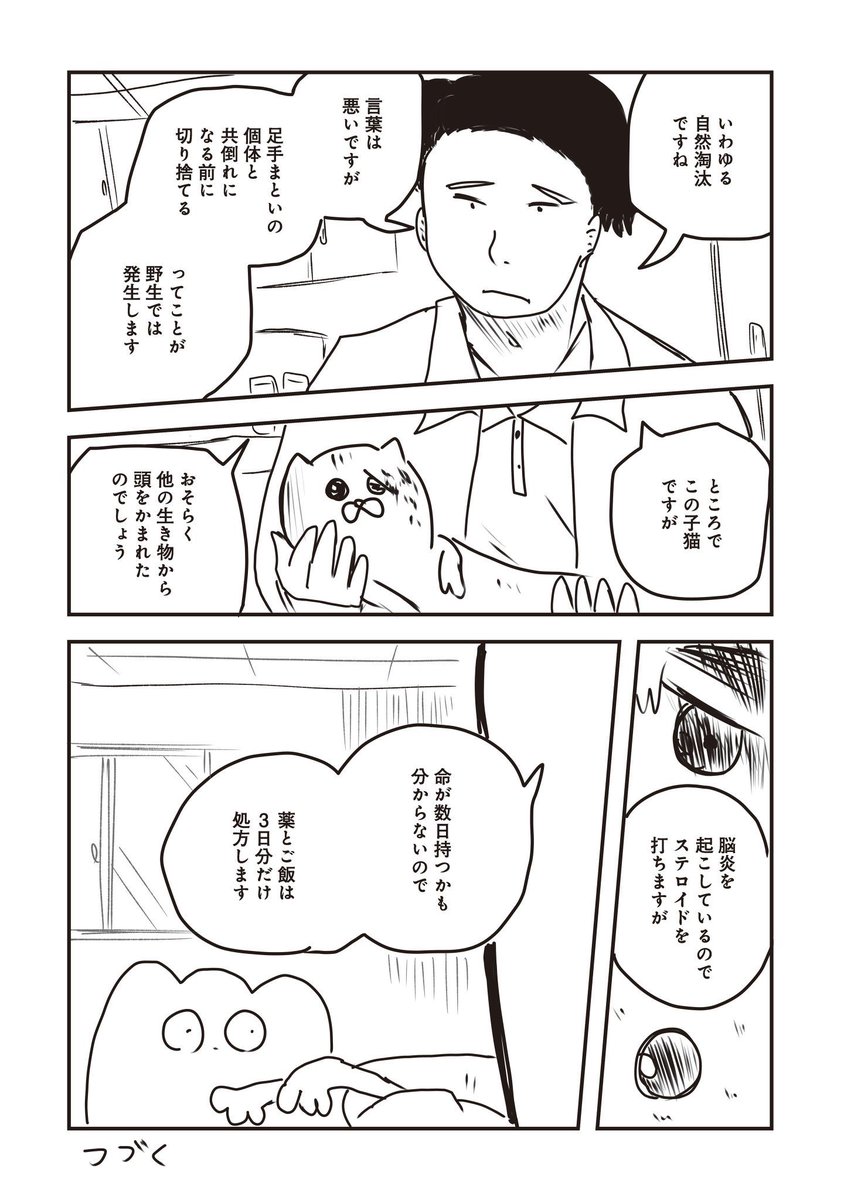 死にかけの猫を拾った話(2/3) 
