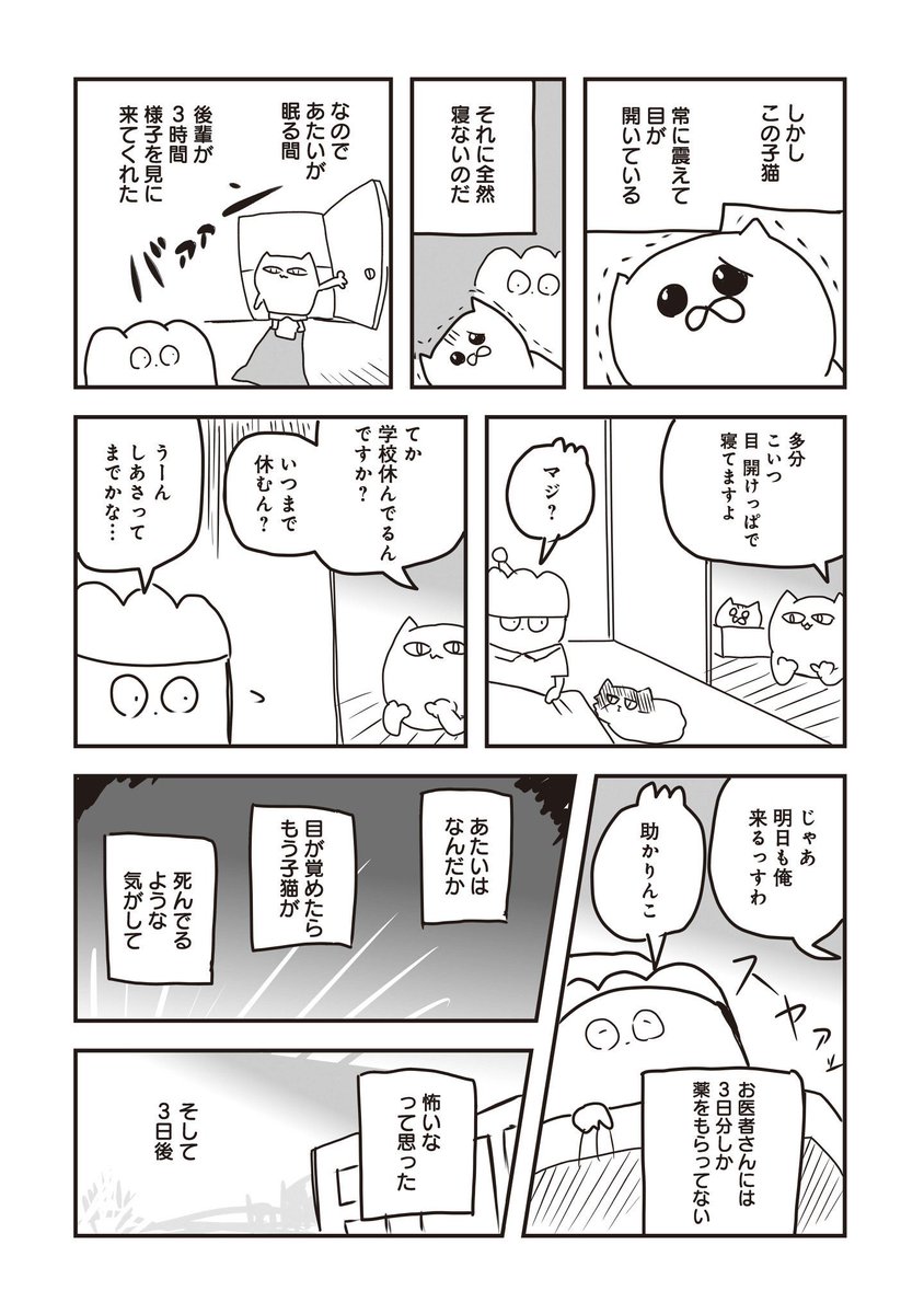 死にかけの猫を拾った話(3/3) 
