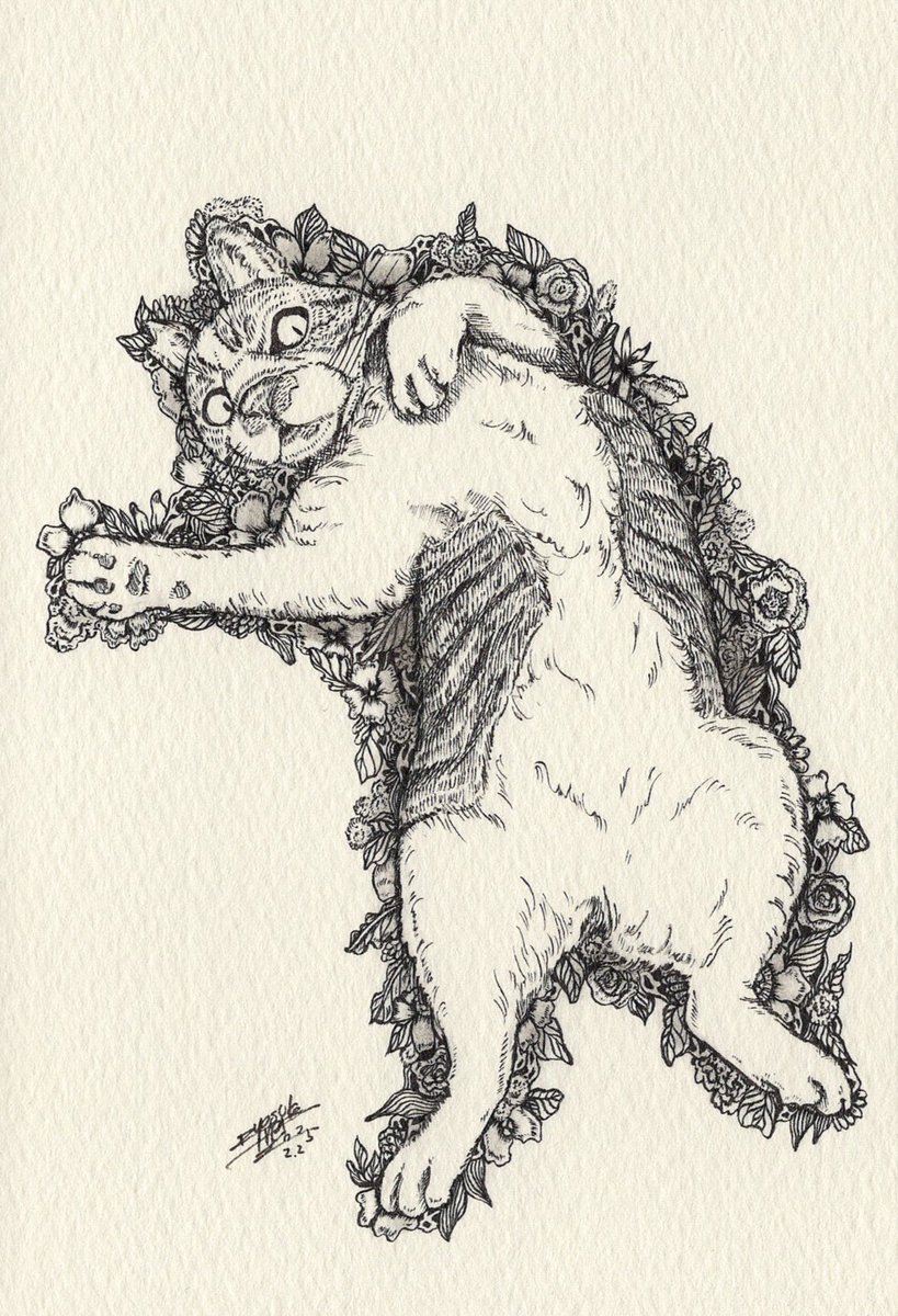 空*猫様 【第1弾　猫ちゃん大集合！】ペン画　原画　一点もの 原 良輔/ 筆ペン画家 on X: 