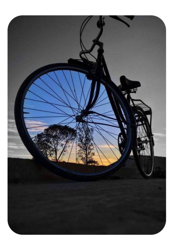 GoldenFrames123's tweet image. Angles matter! Shoot from a lower perspective for a more   dramatic effect. 🔥 
#CreativeAngles #PhotographyTips #Photography