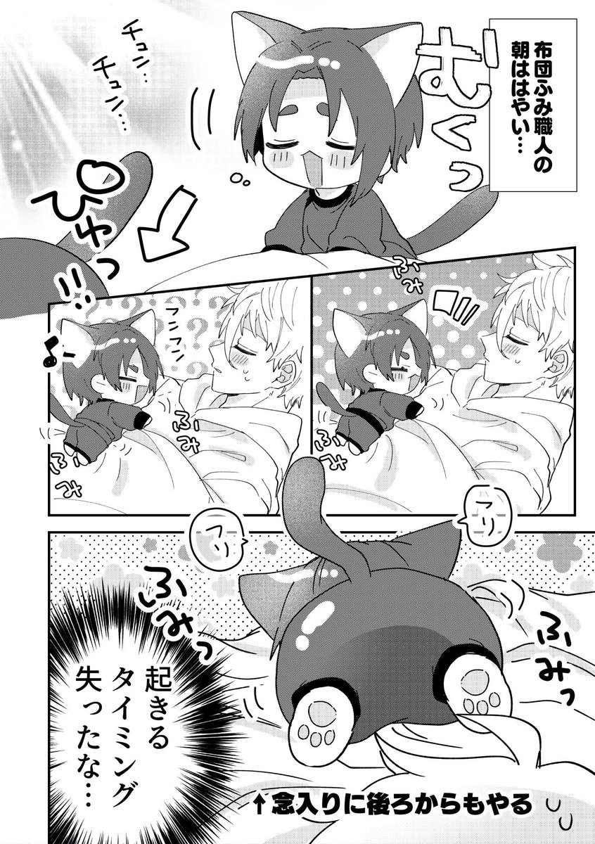 猫の日 ngro 🐱つめ 