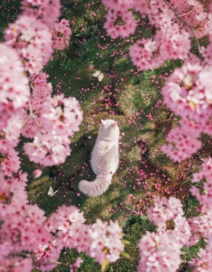 Solithra's tweet image. 