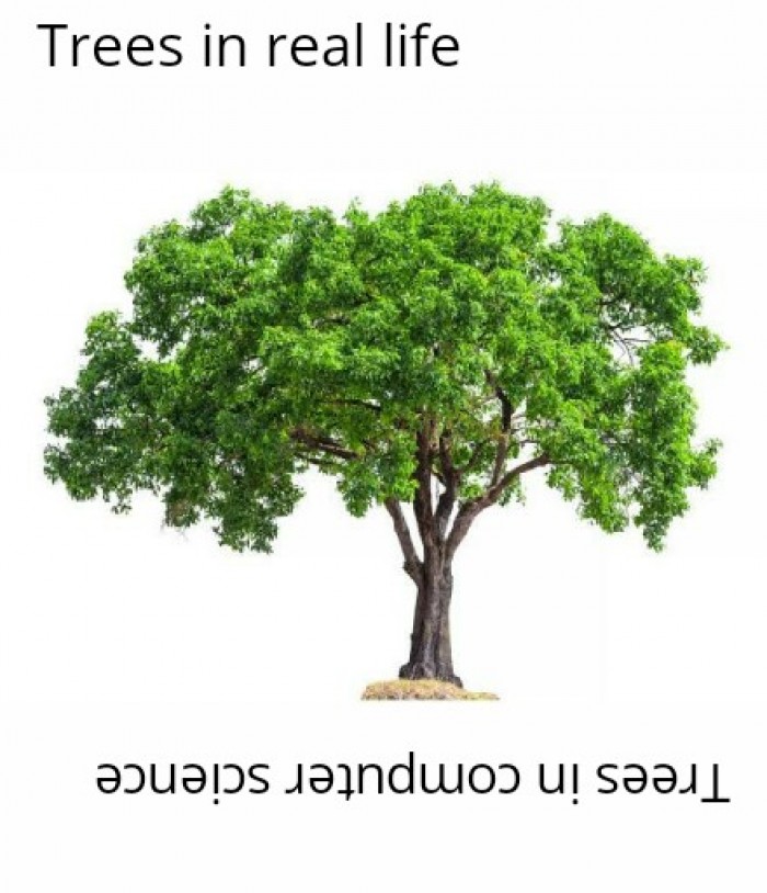 EAGLE_BOY123's tweet photo. If you don't understand ask your computer teacher 
No entiendes? Pregúntale a tu profe de compu 😅😅
#Informática #MemeInformático #Technología #ComputerMemes https://t.co/uEINNOGJJ1