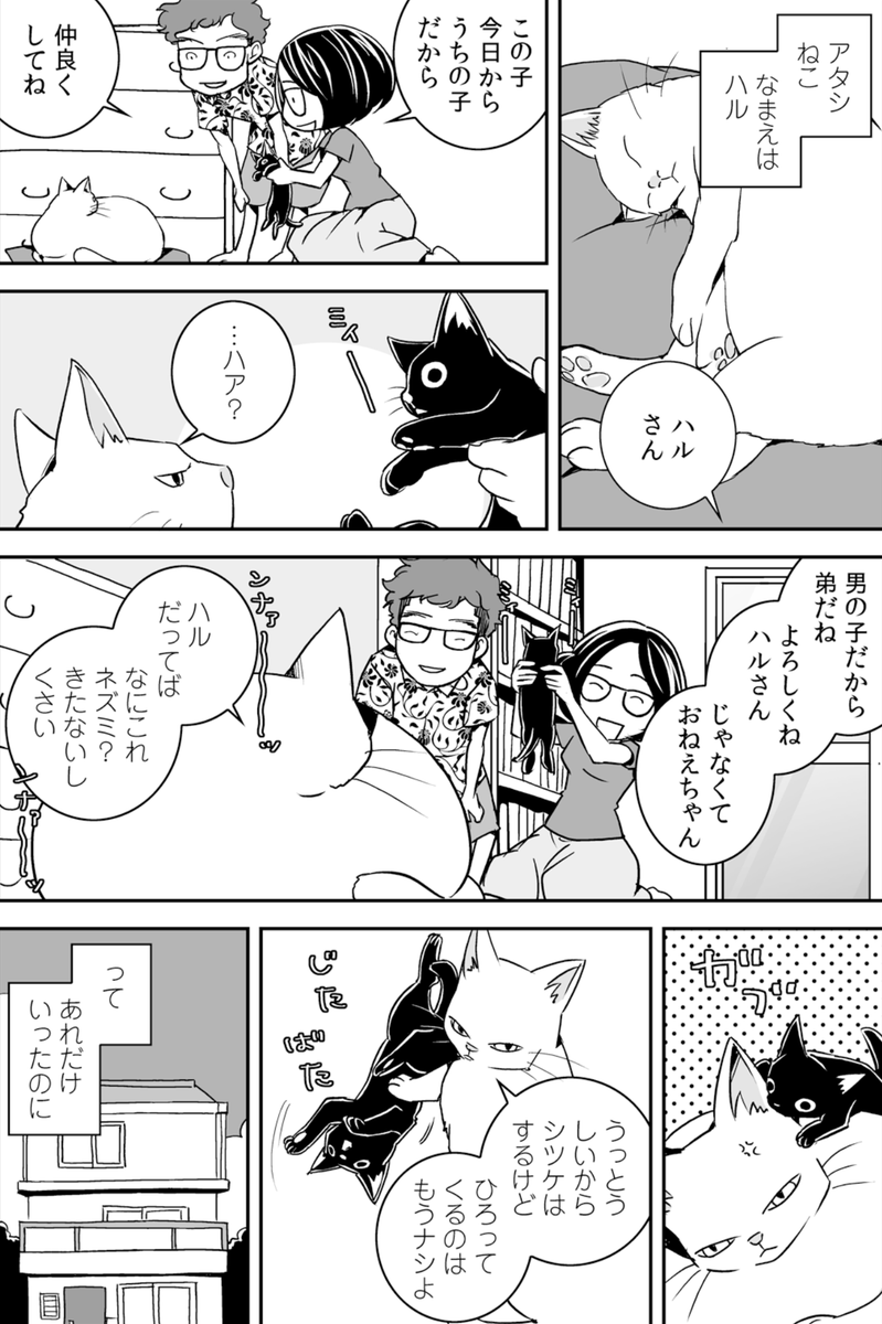 (1/4) 