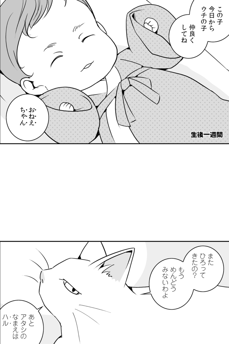 (1/4) 
