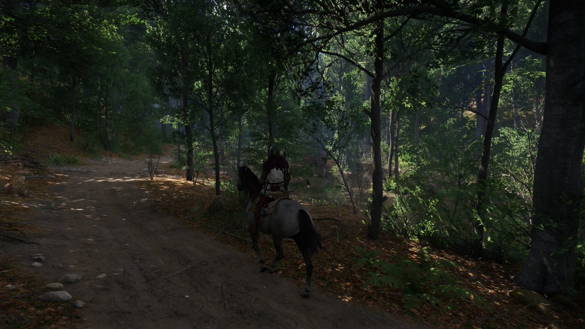 nebulamonk's tweet photo. 📸Kingdom Come Deliverance 2  #KCD2  
  @KingdomComeRPG https://t.co/2MJXvVBPPf