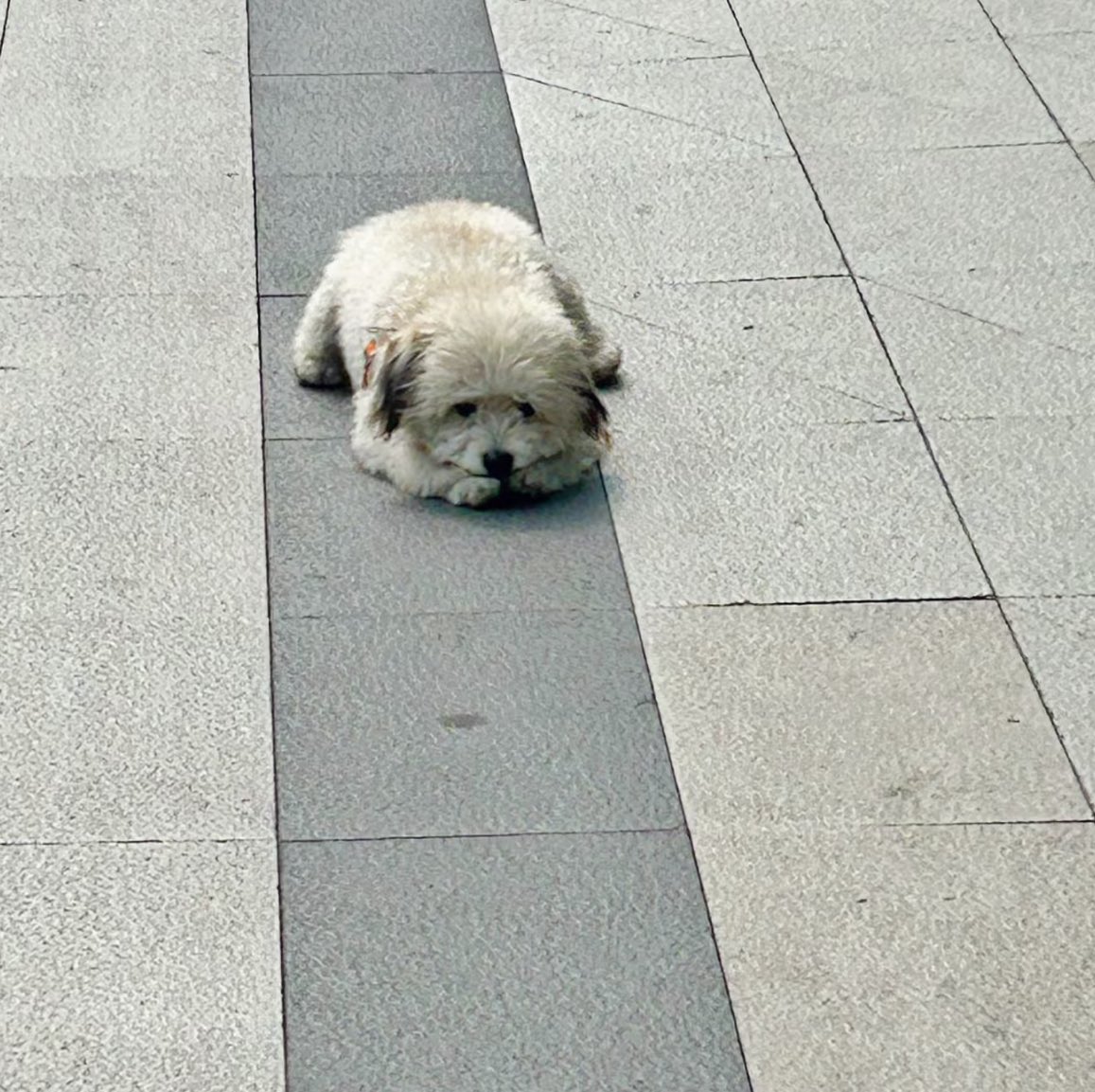 ทำผิดอาไร ฮัมไมไม่หอมกัน