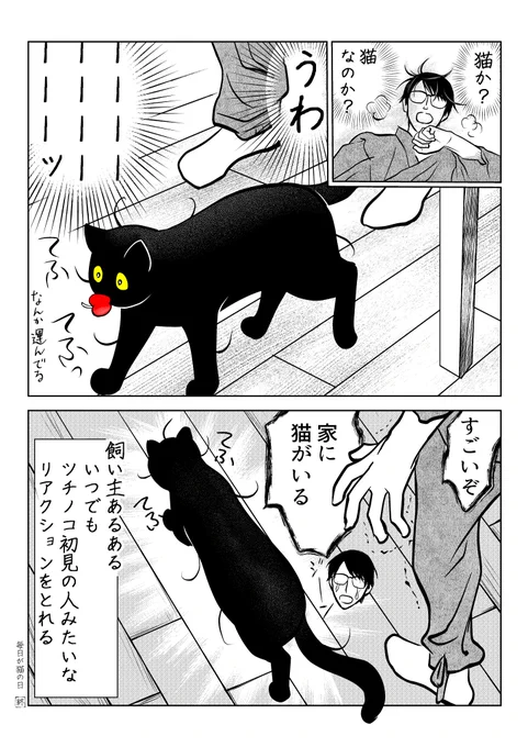 筆坊日記113 猫との遭遇

(2/2) 