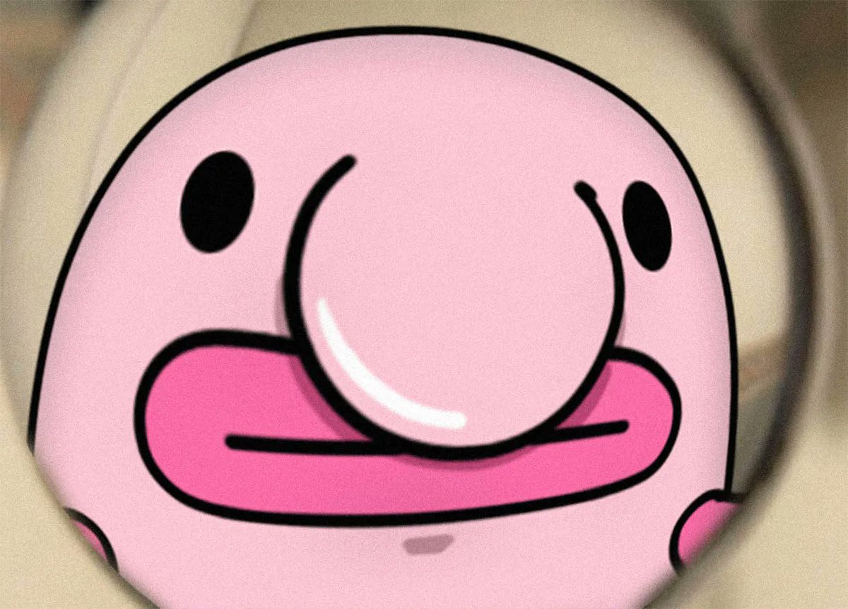 yully_crypto's tweet photo. blub morning https://t.co/bn8ARONjpf