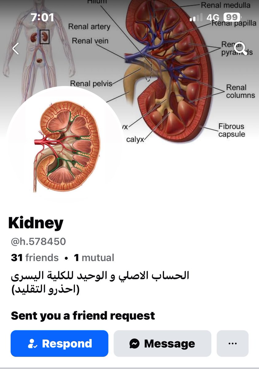 هدوا اعضاءكوا يا رجاله