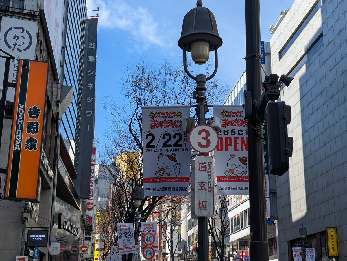 渋谷エリアで展開中、カラオケまねきねこの広告。 まねき“ねこ”に