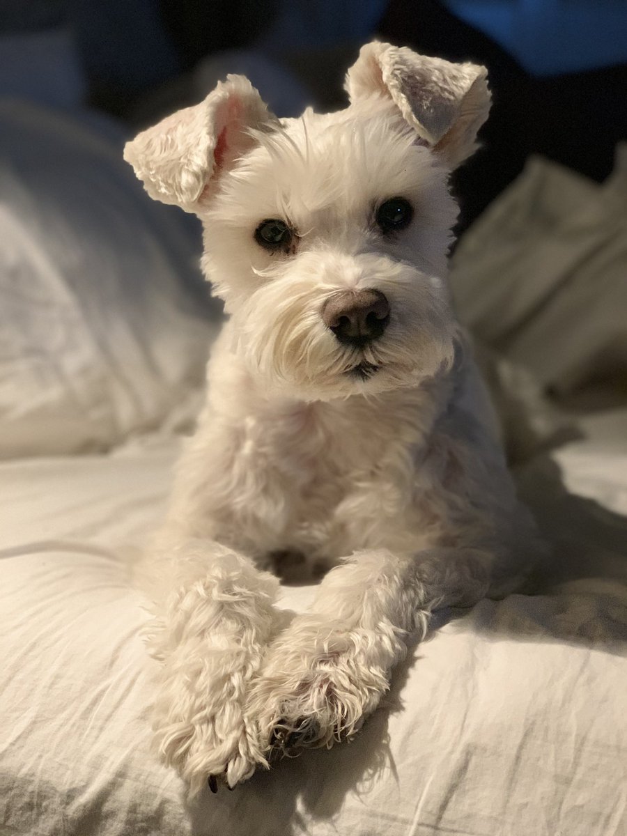 mshell12345's tweet photo. @EliMcCann Piper is a professional model. https://t.co/en0Ia4XJgb