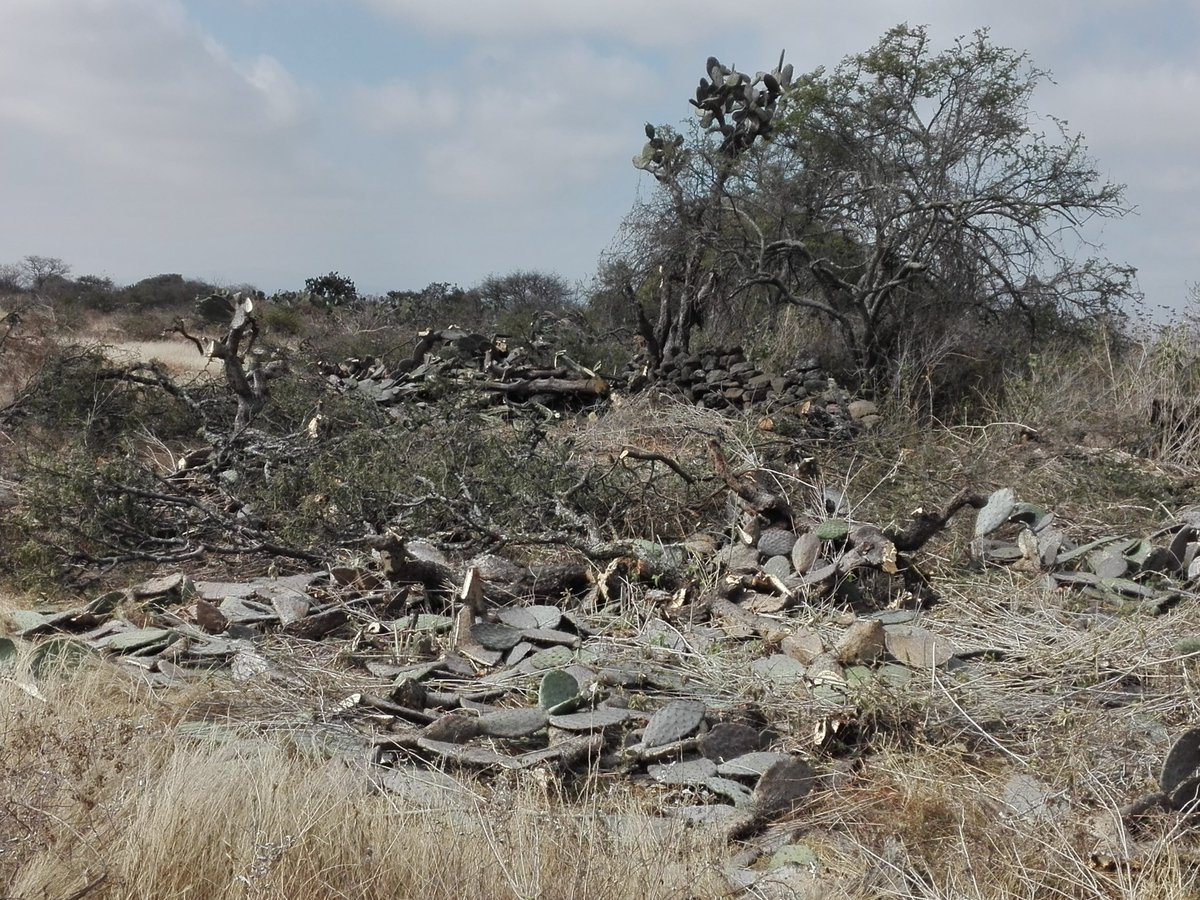 Tesis (2018) del XVIII Tribunal en Materia Administrativa: la afirmación de los inspectores ambientales de que un predio es forestal no constituye por sí misma prueba plena de que así lo sea. <a href="/JURIQUILLA/">JURIQUILLA</a> <a href="/LizzQro/">Hanya Seorang Wanita</a> <a href="/Fomouret/">Federico</a> <a href="/Eliolvera18/">Eli</a> no basta que un terreno soporte vegetación
