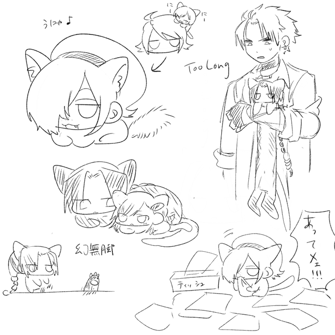 猫の日らしいぞ 