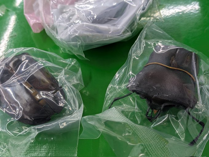 勝った!第3部、完!! 