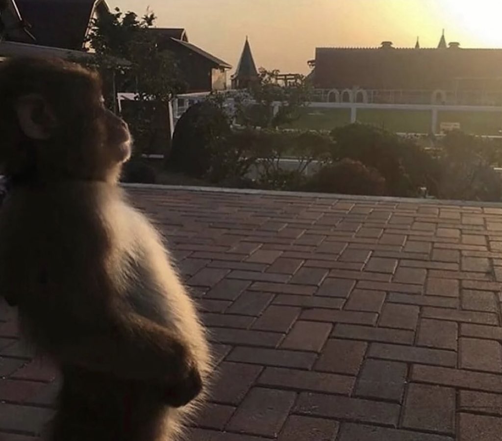 Quel plaisir de dormir tôt le soir et se réveiller tôt le matin