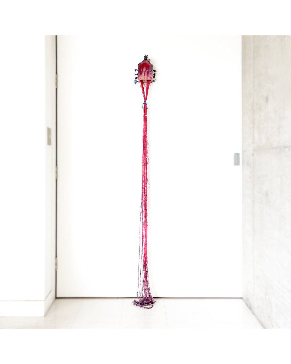 金佳辰-JinJiachen tweet media