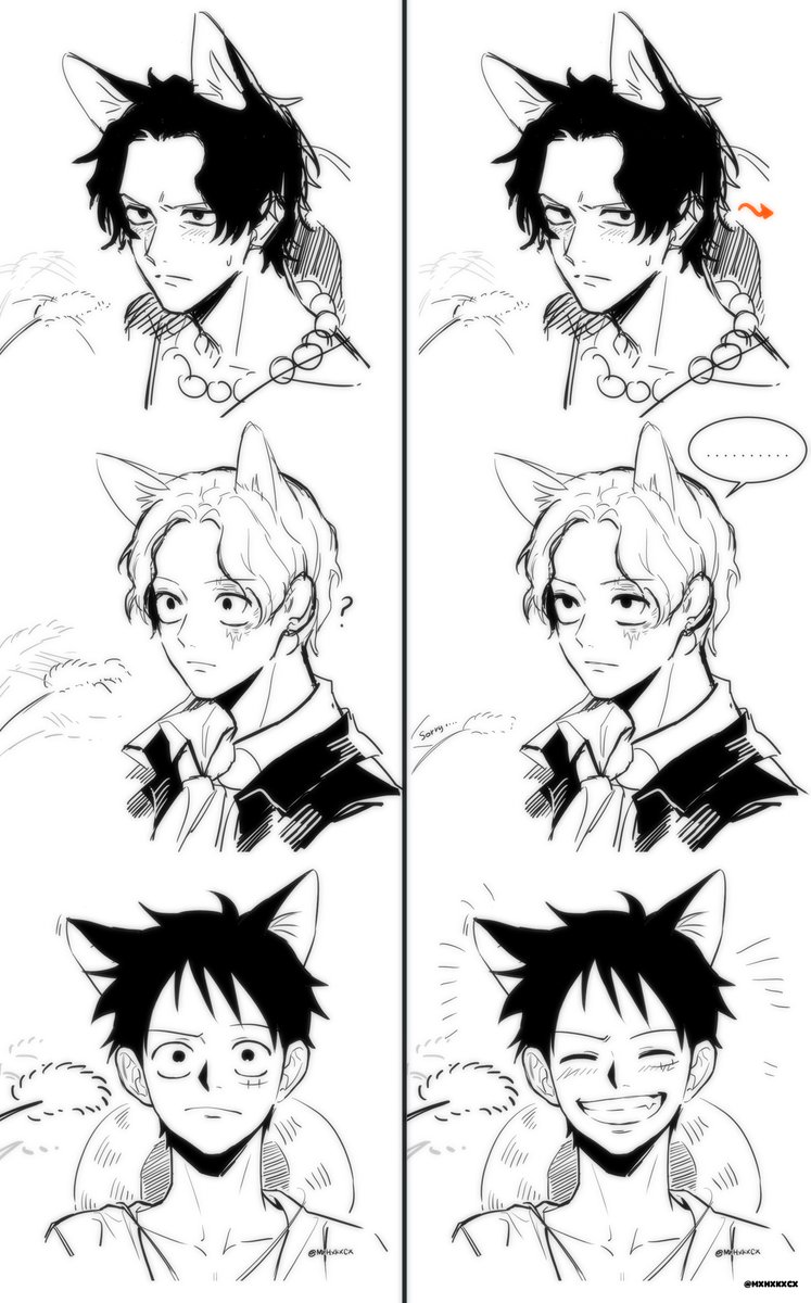 고양이의날이라고라