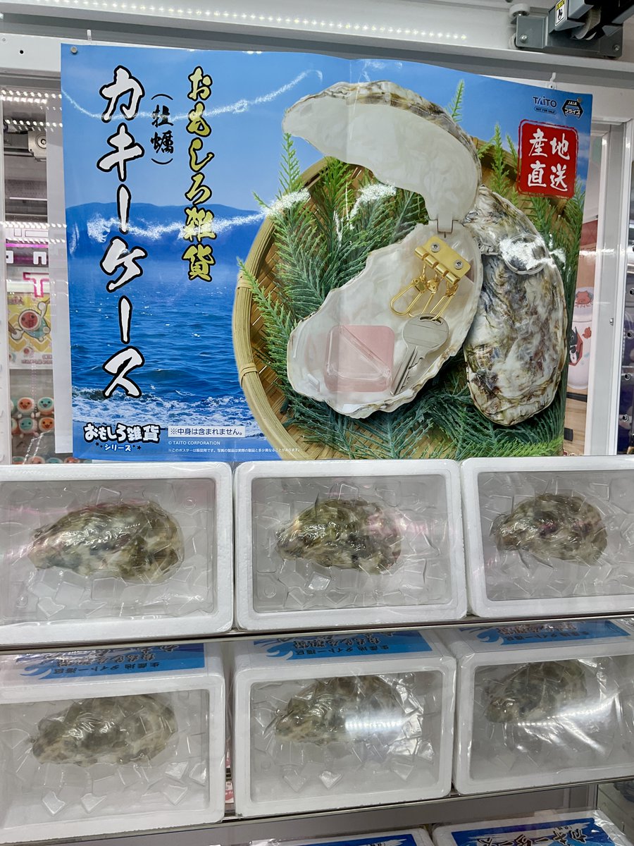 プライズ入荷情報】 『おもしろ雑貨 カキ―ケース』入荷しました～ 牡蠣