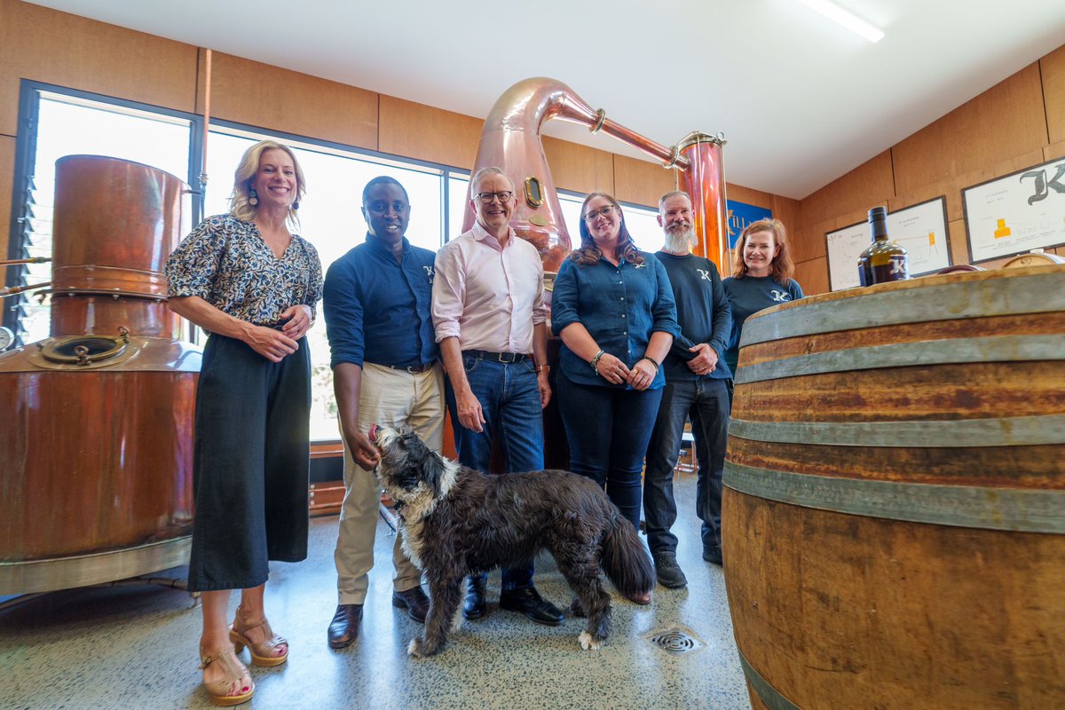 Anthony Albanese tweet media