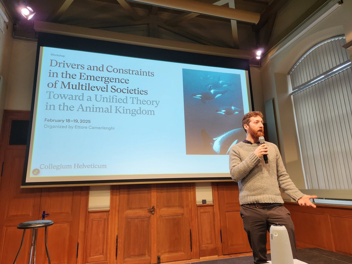 ccgrueter's tweet image. I thoroughly enjoyed this workshop on #multilevelsocieties at the @CHelveticum! Great opportunity to connect/reconnect with people who share a deep interest in social complexity @DamienFarine @andrea_migliano @Ecamerlenghi @Elva_Robinson @DanPapageorgiou
collegium.ethz.ch/events/fellow-…