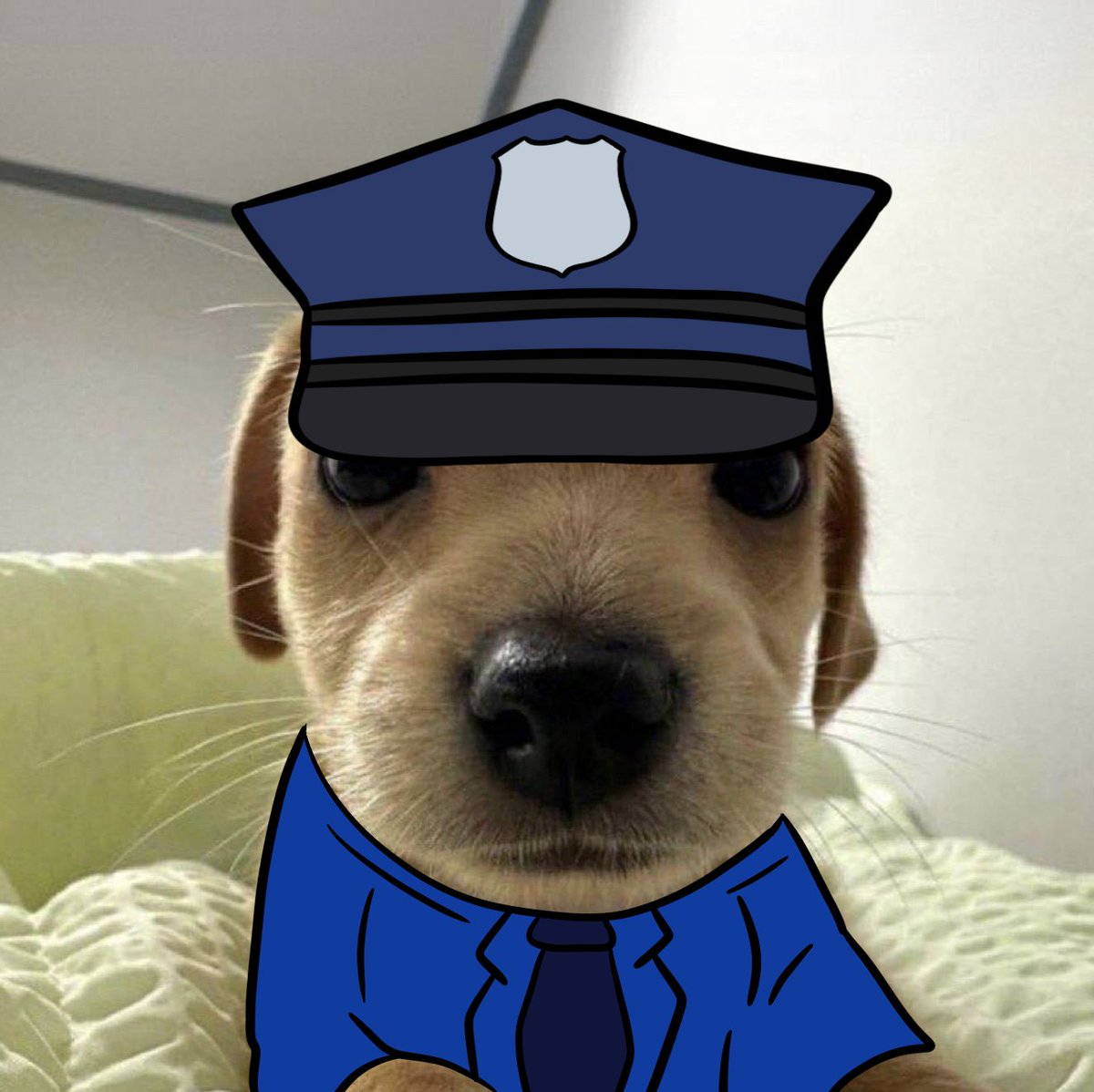 billycoin4ever's tweet image. i'll find the thief for those one billyon dollars missing